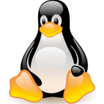 Linux Multi4D